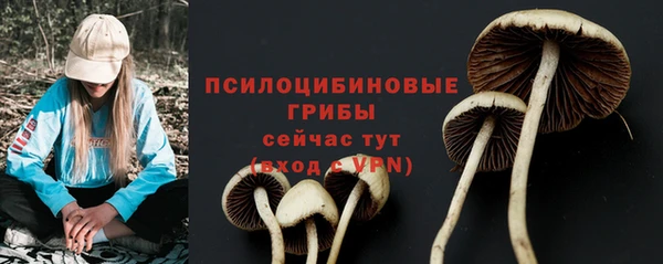 стаф Абинск