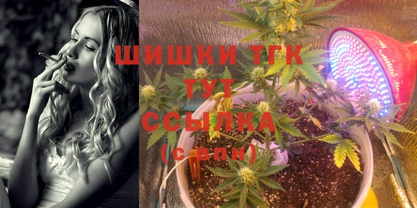 стаф Абдулино