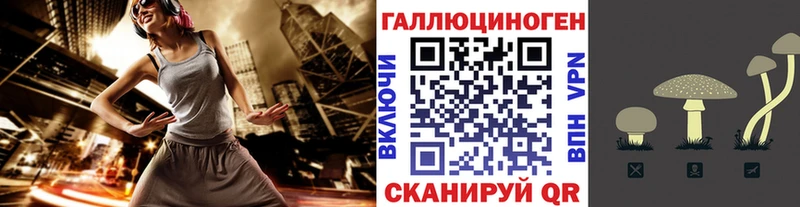 Псилоцибиновые грибы мицелий  Касли 